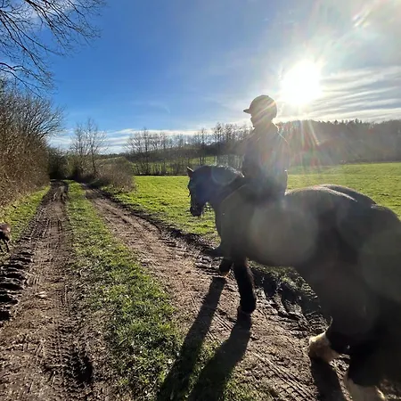 Ferien Und Freizeithof Engelau - Zi 4 Giekau